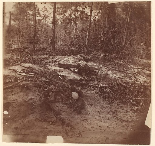 [The Wilderness Battlefield]