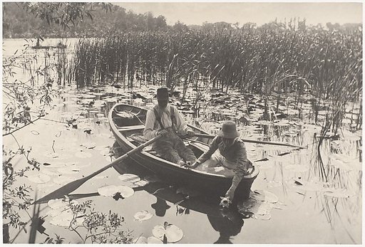 Gathering Water-Lilies