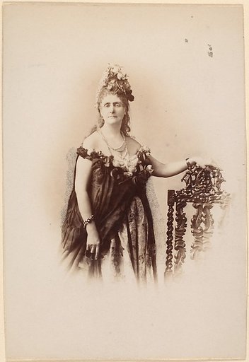 Roses Compiègne