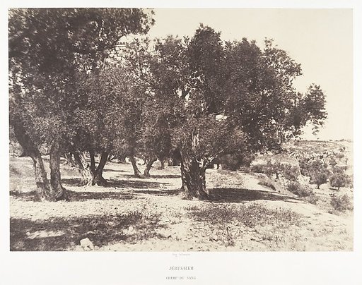 Jérusalem, Champ du sang