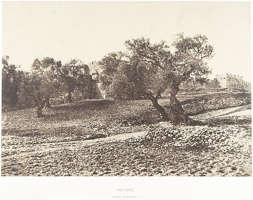 Jérusalem, Porte d'Hérode