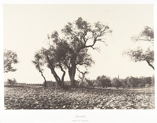 Jérusalem, Chemin de Naplouse
