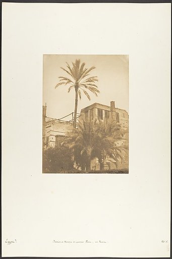 Dattiers et Maison du quartier Franc, au Kaire