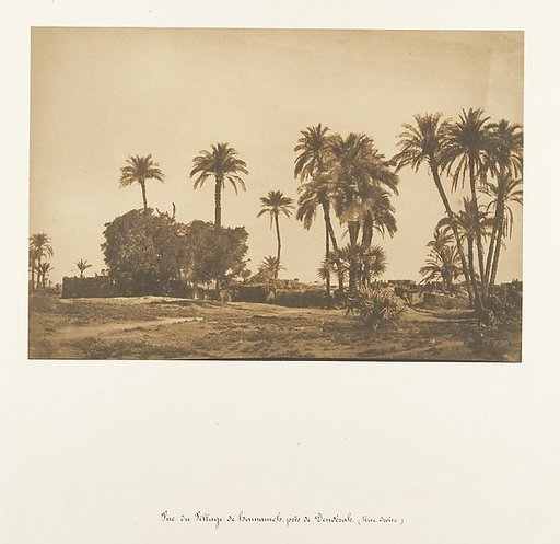 Vue du Village de Hamarneh, près de Dendérah (Rive droite)