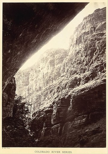 Cañon of Kanab Wash, Looking South