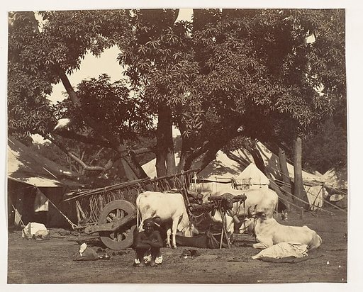 [Scene in Camp]