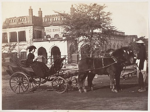 [Mrs Bayley, Lucknow]
