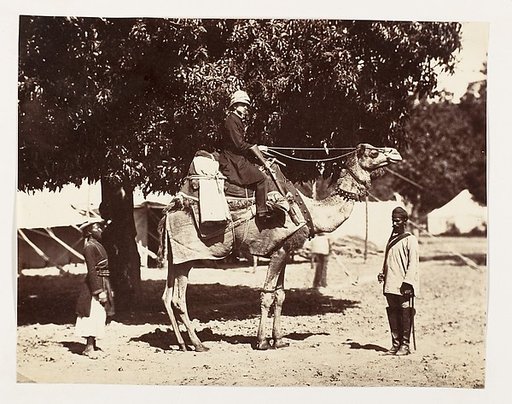 [J.C.S. on a Riding Camel]