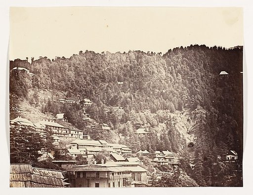 [Simla Bazaar]