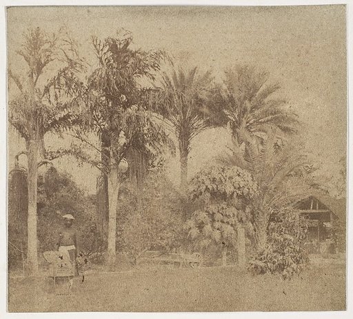 [Gardens, Government House, Allahabad]