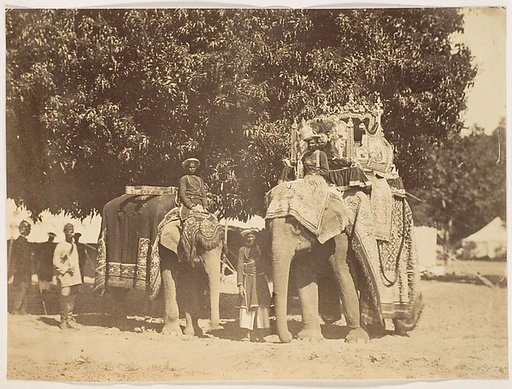 [Governor General's State Elephant and Silver Howdah]