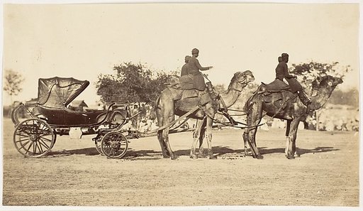 [ A Travelling Camel Carriage from Lahore to Peshawar, Governor General's Camp]