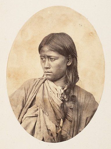 [Bust Portrait of an Indian Woman]