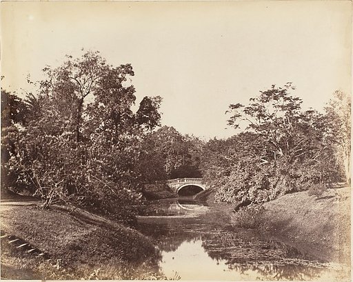 [Botanical Gardens, Calcutta]