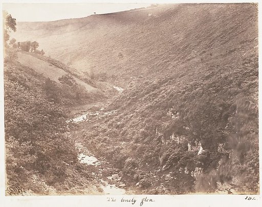 The Lonely Glen