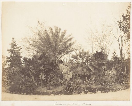 Pincian Garden, Rome