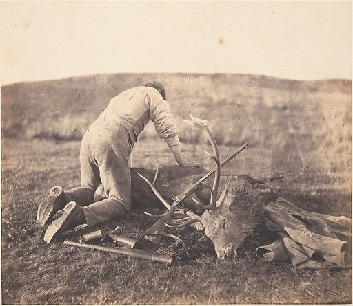 Jack Gralloching a Stag