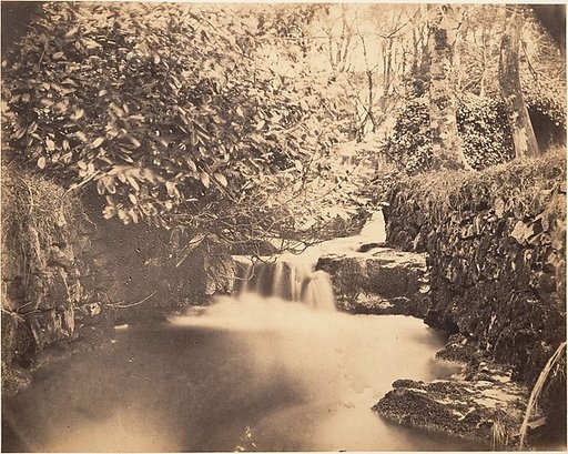 [View in the Gardens at Netherley]