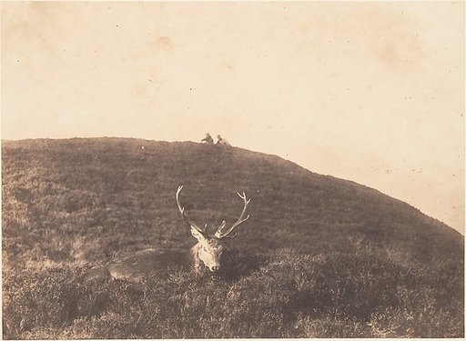 [Hunters Stalking a Deer]