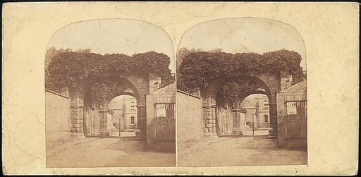 [Group of 16 Early Stereograph Views of British Abbeys]
