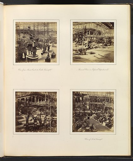 [View From Music Court to South Transept; View in Tropical Department; View of the Egyptian Court; View of North Transept]