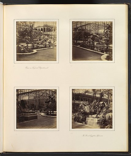 [View in Tropical Department; View of Egyptian Sphinxes]