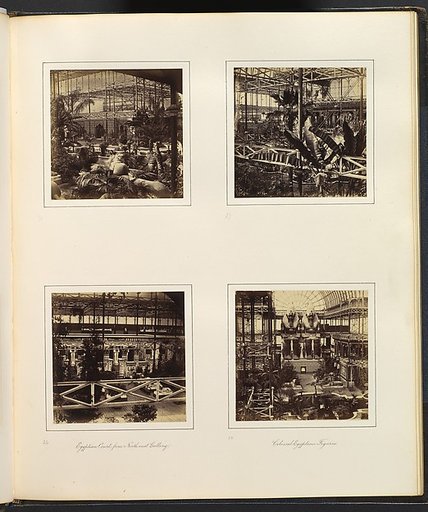 [View of Sphinxes Among Foliage; View of Tropical Foliage; Egyptian Court from North-east Gallery; Colossal Egyptian Figures]