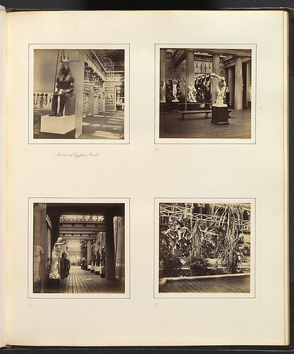 [Interior of Egyptian Court; Classical Sculpture Gallery with Discus-Thrower; View of Egyptian Court from Classical Sculpture Gallery; Foliage in the Egyptian Court]