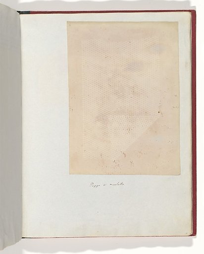 Pezzo di merletto