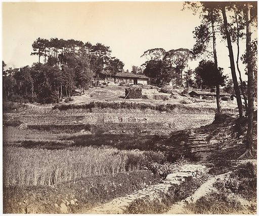Teahouse at Peking