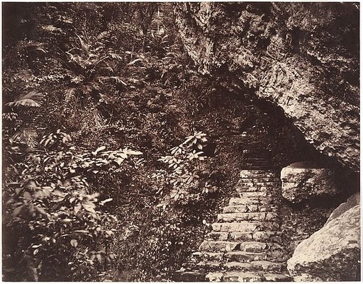 [Path to Fangguangyan Monastery, Fujian]