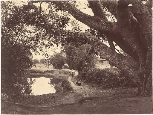 Village Road North River