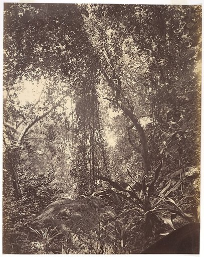 View in Camoens Garden Macao