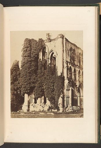 Rivaulx Abbey.  General View from the South