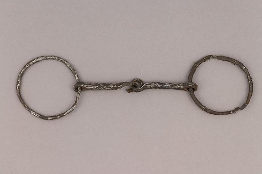 Snaffle Bit