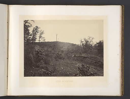 Pine Mountain