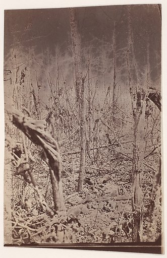 [The Wilderness Battlefield]