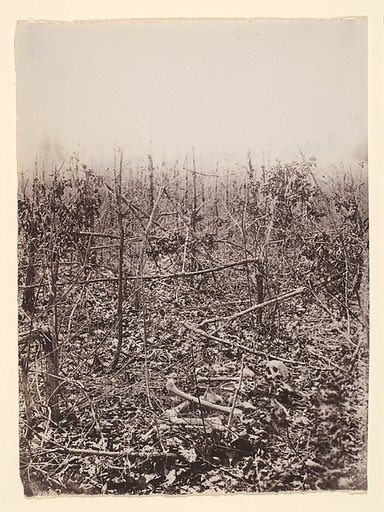 [The Wilderness Battlefield]