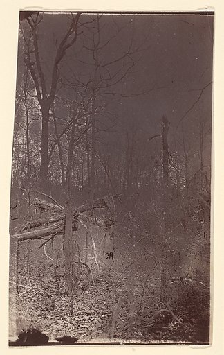 [The Wilderness Battlefield]