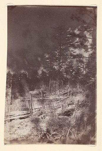 [The Wilderness Battlefield]
