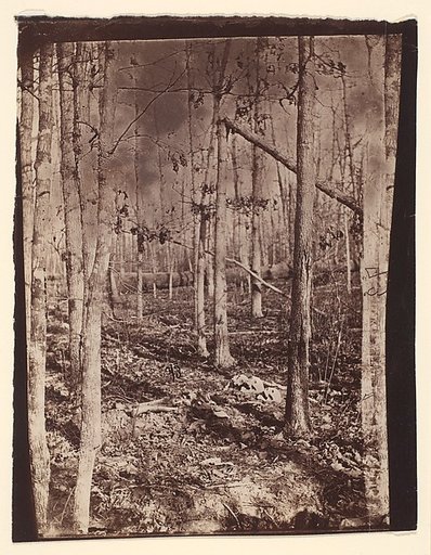 [The Wilderness Battlefield]