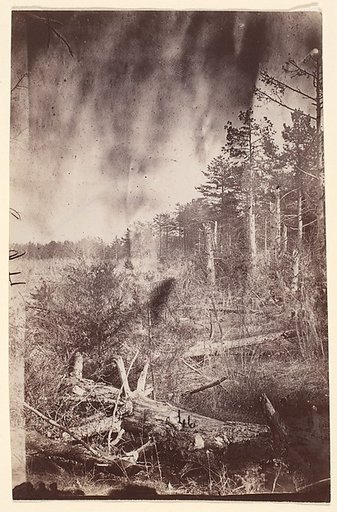 [The Wilderness Battlefield]
