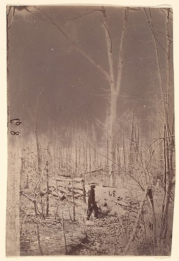 [The Wilderness Battlefield]