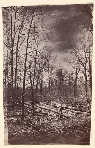[The Wilderness Battlefield]