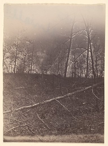 [The Wilderness Battlefield]