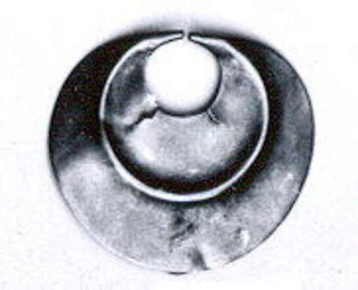 Nose Ornament