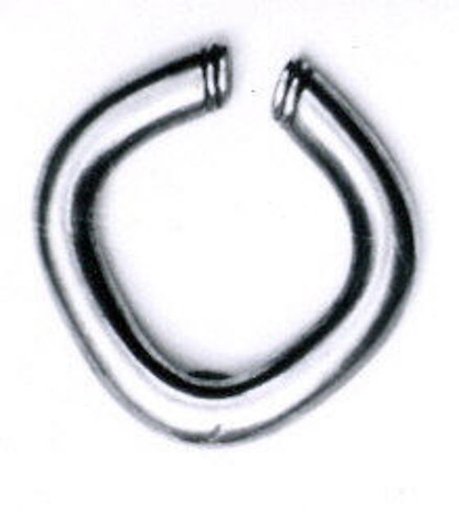 Nose ornament