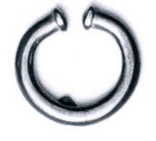 Nose ornament