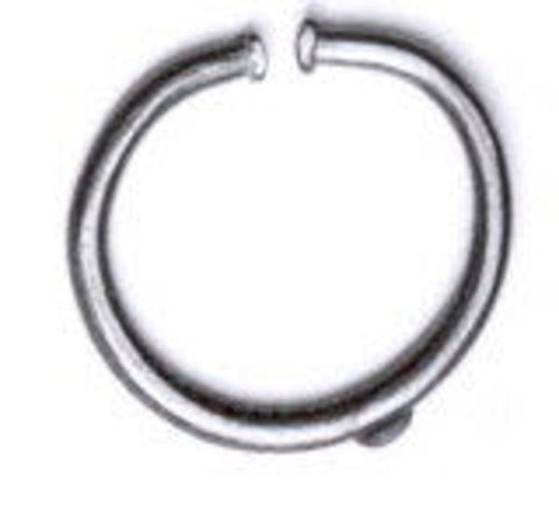 Nose ornament