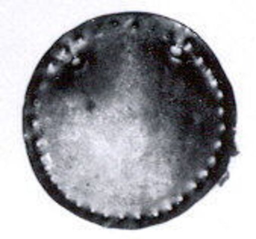 Disk ornament
